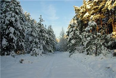 虚幻5《夜店模拟器》上架Steam 媲美GTA夜总会？